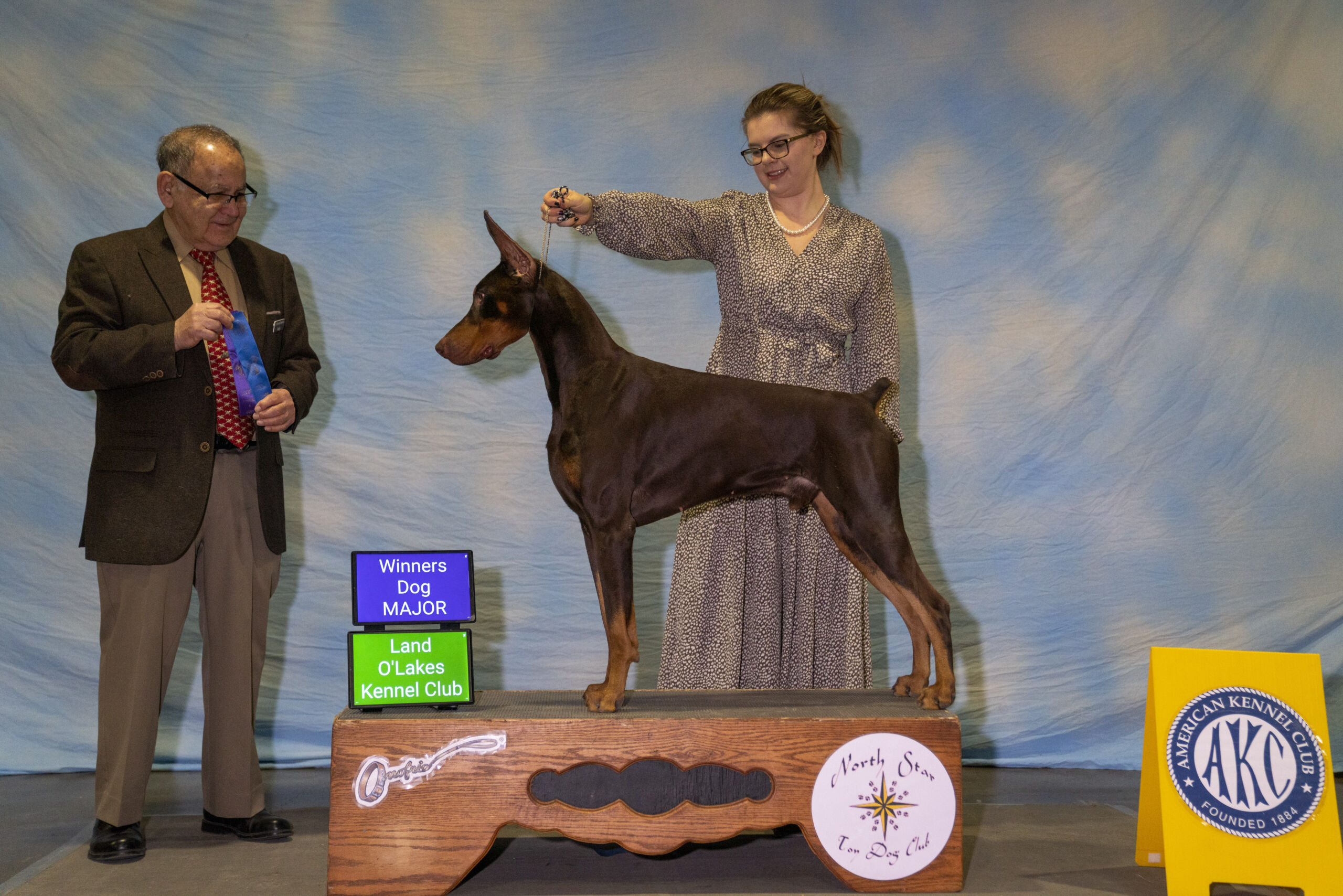 Mando a Doberman Pinscher Dog Show Winner