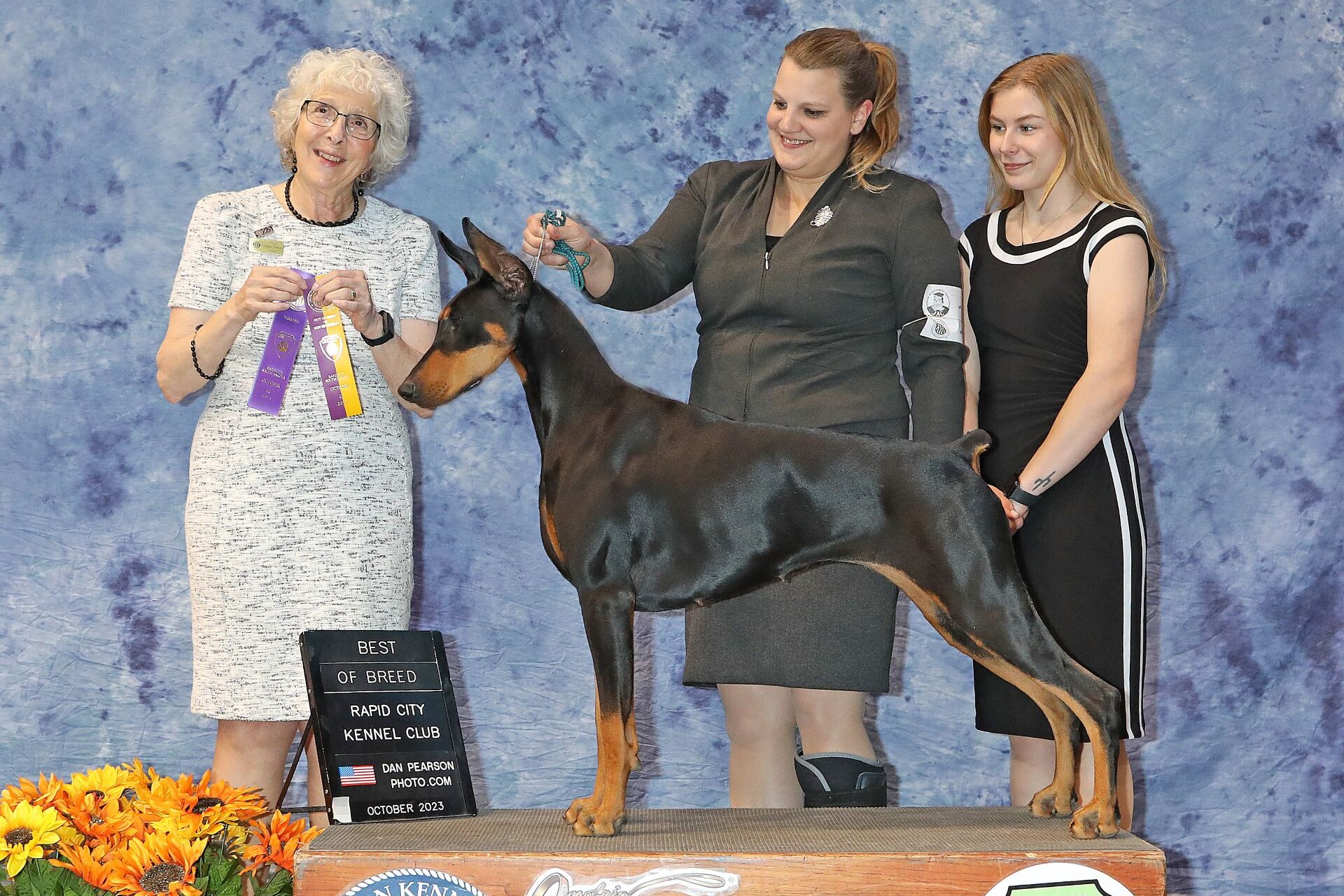 Tuuli a Doberman Pinscher Best of Breed winner